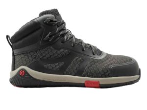 pegasus 1_compressed