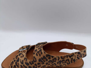 WhatsApp Image 2026-02-20 at 11.45.22 (1)-2