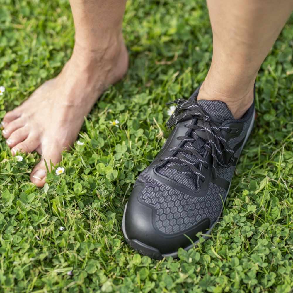 square_optimized_BAAK PHOENIX comprimida 8